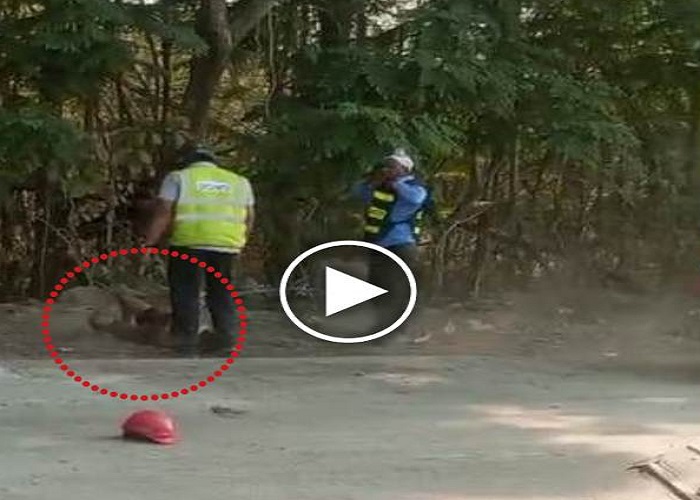 आम तोड़ने पर गार्ड की दरिंदगी, परिजनों की शिकायत के बाद एक्शन में प्रशासन