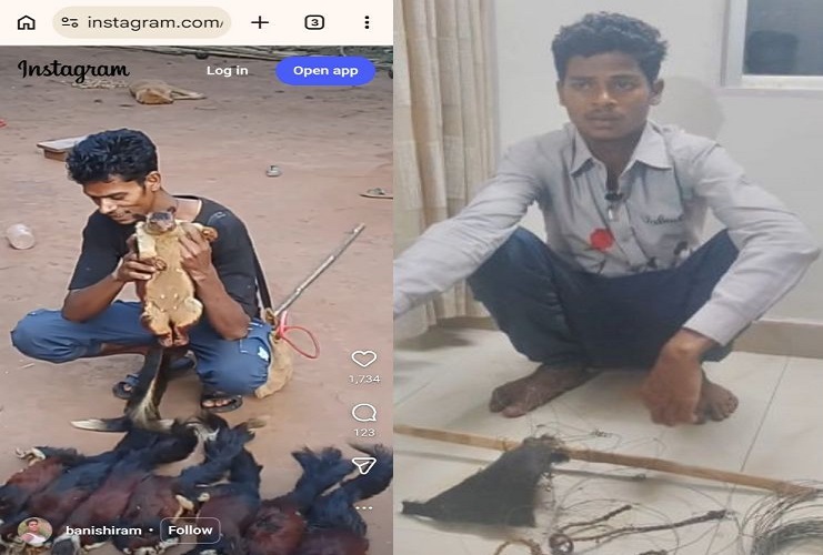 खुद ही जाल में फंसा शिकारी! दुर्लभ गिलहरी के शिकार का वीडियो बना गिरफ्तारी की वजह