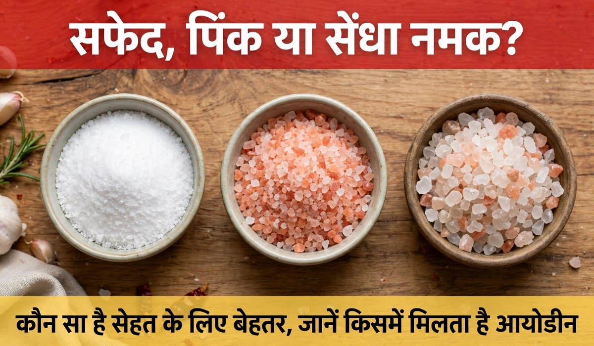 सफेद, पिंक या सेंधा नमक? कौन सा है सेहत के लिए बेहतर, जानें किसमें मिलता है आयोडीन